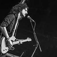 Dateiname=393A4516.jpg
Dateigröße=4119KB
Abmessungen: 5000x3333
hinzugefügt am: 30. August 2019 393A4516.jpg