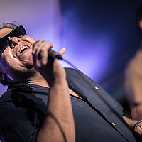 Dateiname=393A7798.jpg
Dateigröße=10194KB
Abmessungen: 6454x4303
hinzugefügt am: 24. September 2019 393A7798.jpg