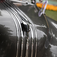 Dateiname=1X3A2090.JPG
Dateigröße=11812KB
Abmessungen: 4480x6720
hinzugefügt am: 15. Juli 2019 1X3A2090.JPG