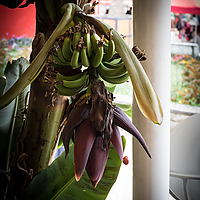 Dateiname=2R5A2125.jpg
Dateigröße=10836KB
Abmessungen: 4480x6720
hinzugefügt am: 15. Juli 2019 2R5A2125.jpg