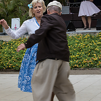 Dateiname=2R5A2216.jpg
Dateigröße=10226KB
Abmessungen: 4480x6720
hinzugefügt am: 15. Juli 2019 2R5A2216.jpg