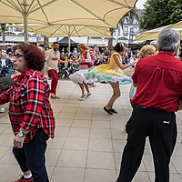 Dateiname=2R5A2266.jpg
Dateigröße=9466KB
Abmessungen: 6720x4480
hinzugefügt am: 15. Juli 2019 2R5A2266.jpg